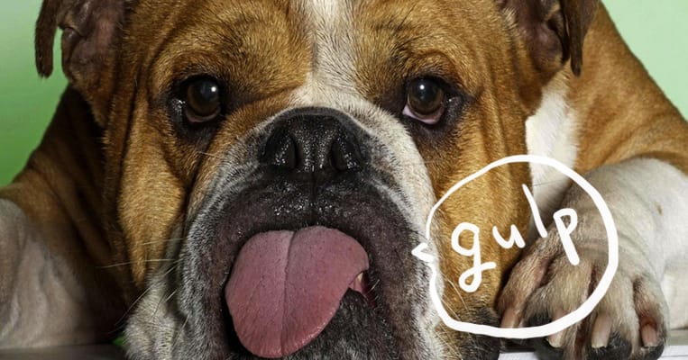 gulp でサクッとアイコンフォントをSVGで