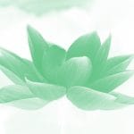 noteの閉塞感とMediumの開放感