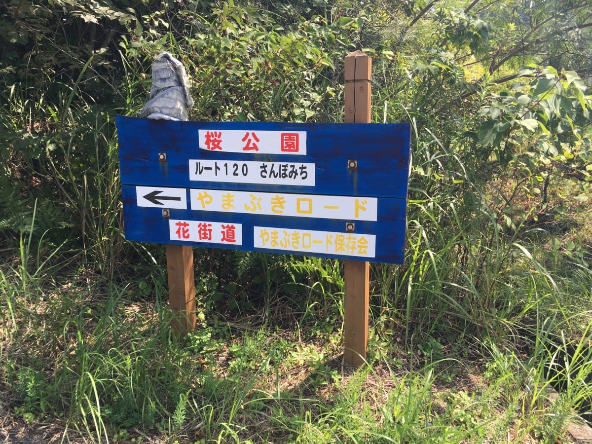 img_1548 A blue sign sitting in the grass