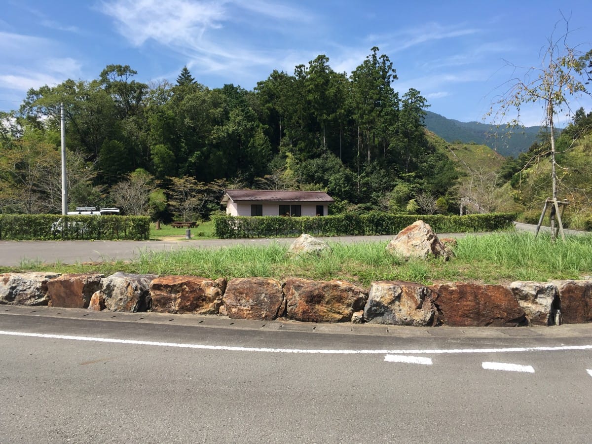 img_1549 A herd of sheep walking across a parking lot