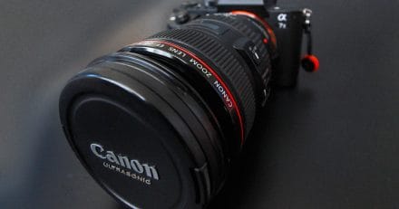 Sony α7Ⅱ にキヤノンのLレンズを付ける神々の遊び！