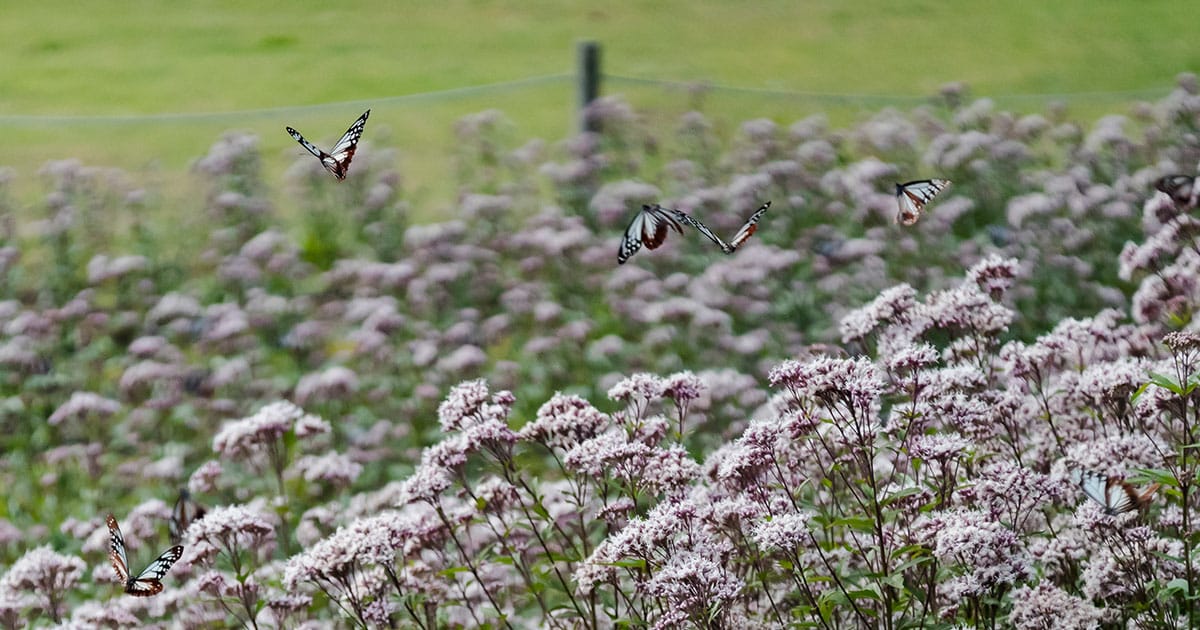 あの日のことを思い出す