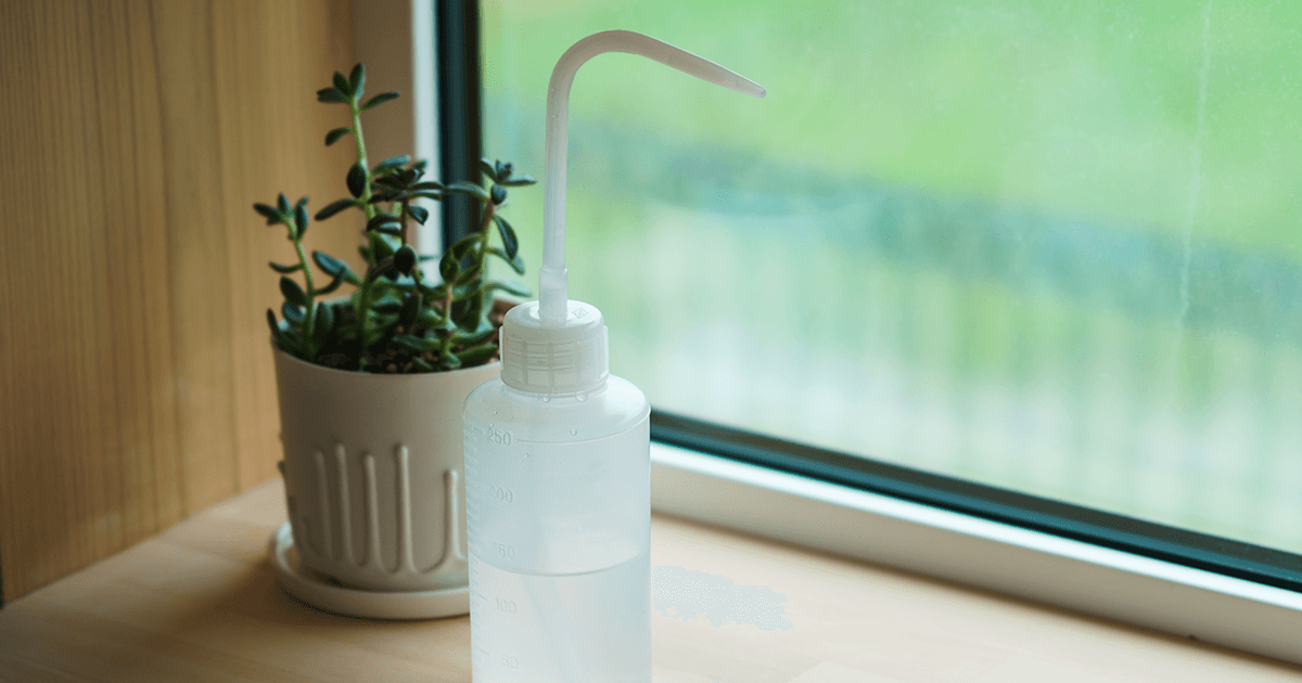 これ、なんていう名前かわからんけど、水やりするのに便利